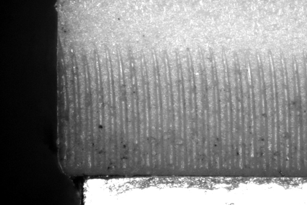 파일:smlpa01 13 002.jpg