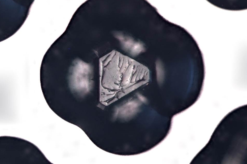 파일:cmp pad conditioner01 008.jpg