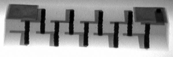 파일:chip ant c03 001.jpg