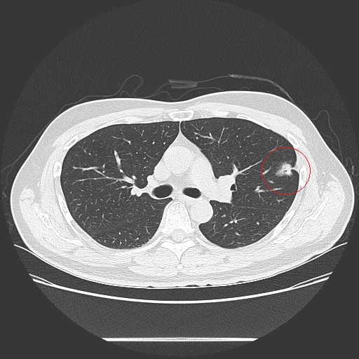 파일:body04 003 001 002.jpg