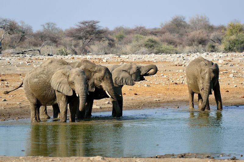 파일:240910 162028.jpg