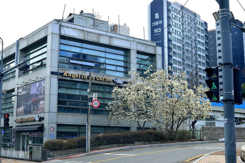 파일:flower02 004 002.jpg