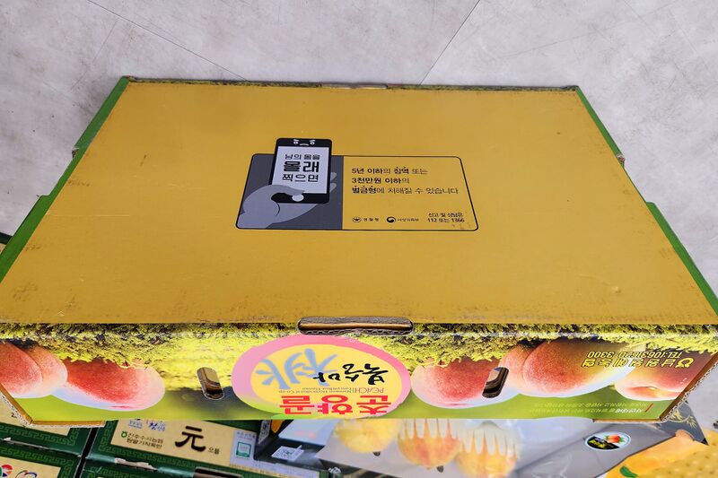 파일:fruit peach05 001.jpg