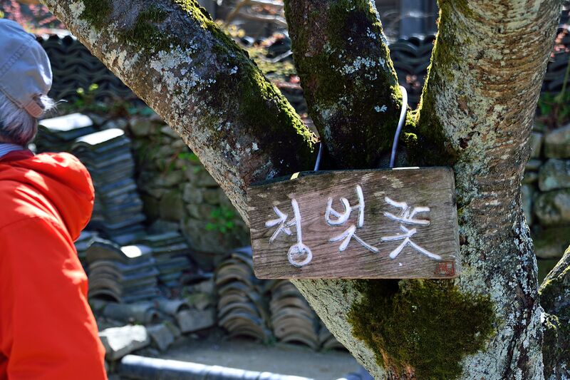 파일:gaesimsa26 015.jpg