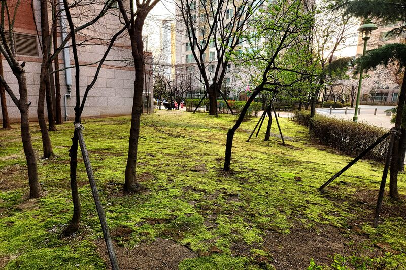 파일:house03 016 001.jpg