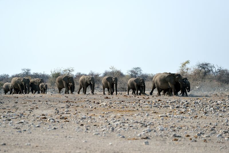 파일:240910 161306.jpg