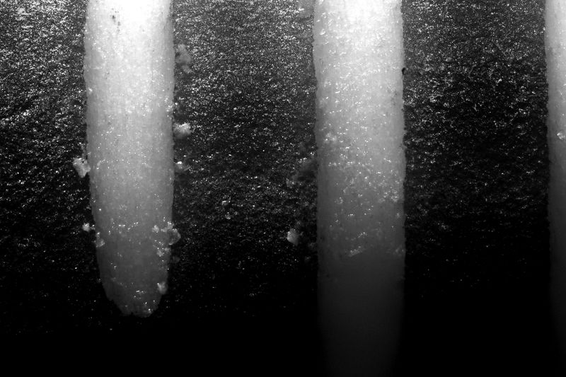 파일:radial helical01 004.jpg