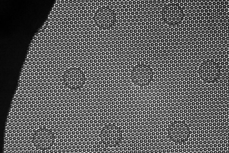 파일:flip3 01 069 001 005.jpg