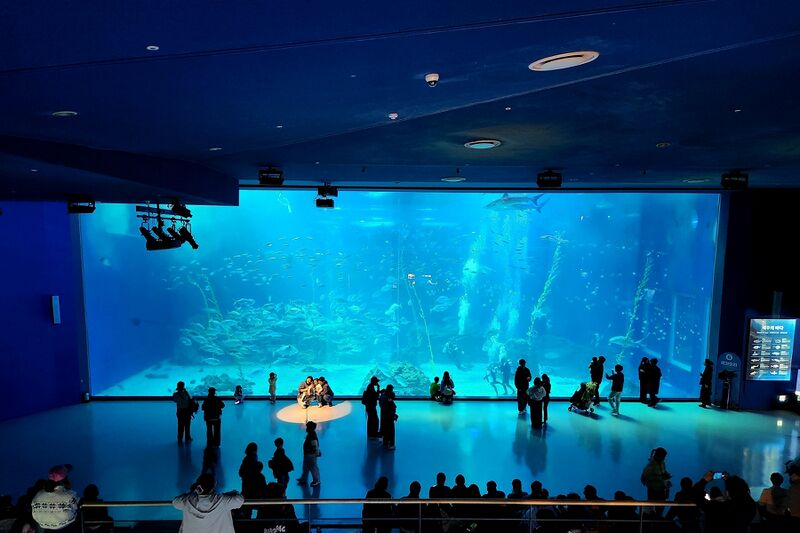 파일:260224 123646.jpg