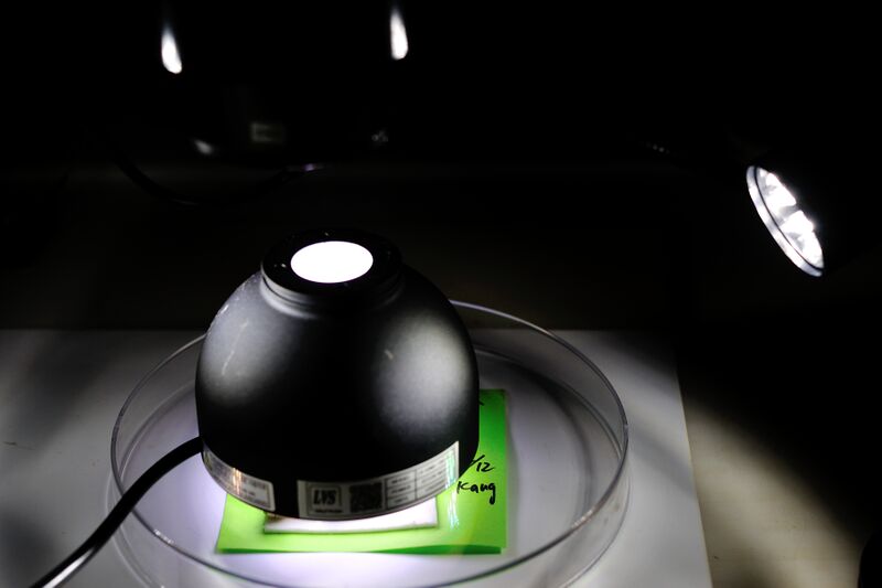 파일:bearing08 002.jpg