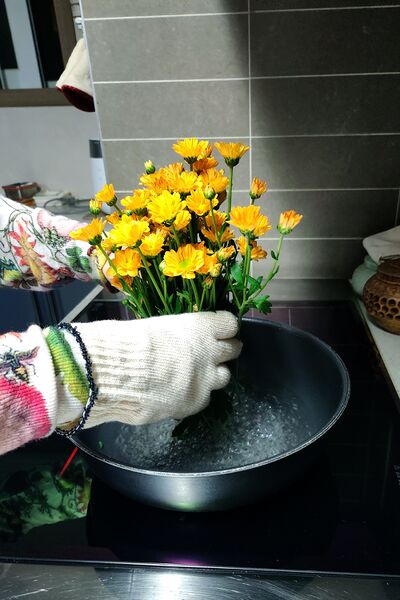 파일:flower02 001 001.jpg