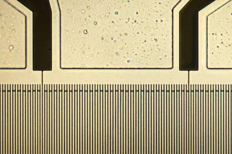 파일:shw a240s 013 003.jpg