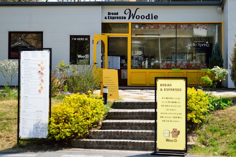 파일:woodie01 002.jpg