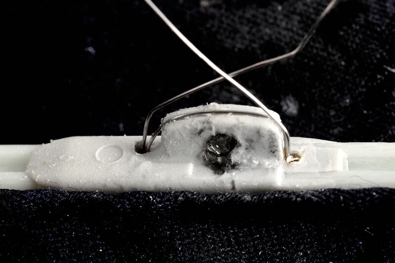 파일:umbrella04 010 005.jpg