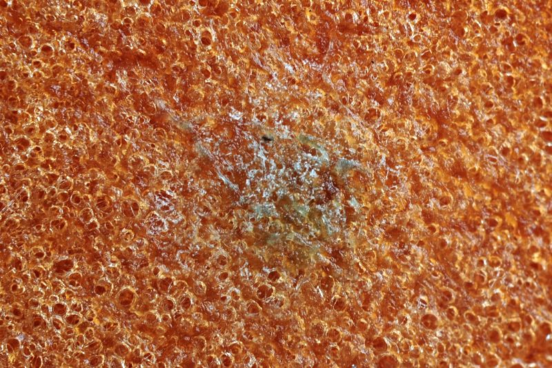 파일:bread02 002.jpg