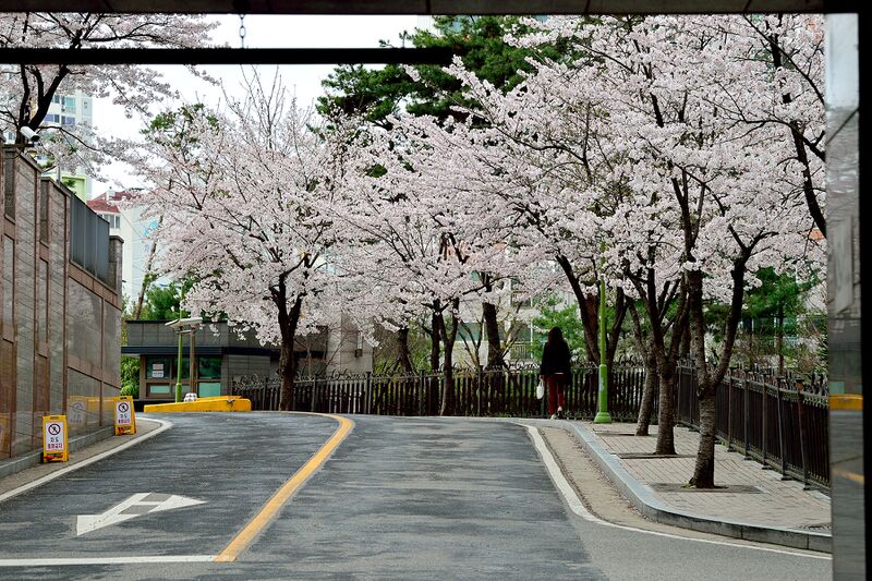 파일:house03 015 002.jpg