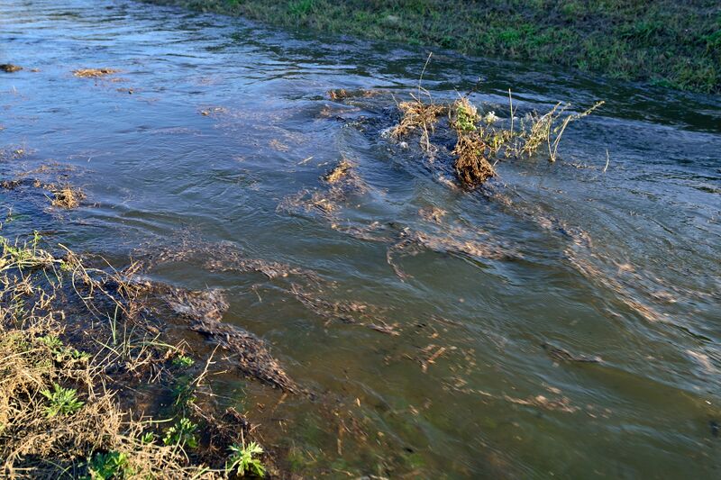 파일:kict03 022.jpg