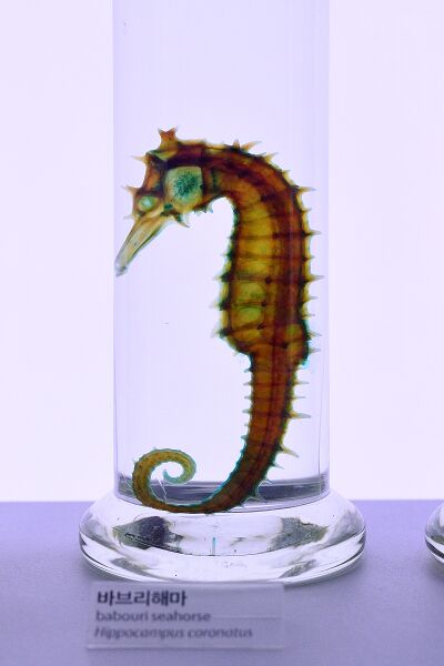 파일:260224 121942.jpg