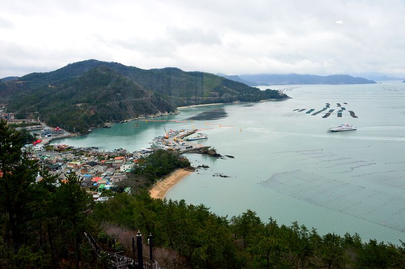 파일:haenam2024 152.jpg