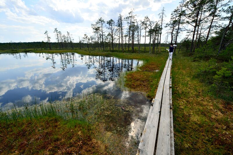 파일:230621 151900.jpg