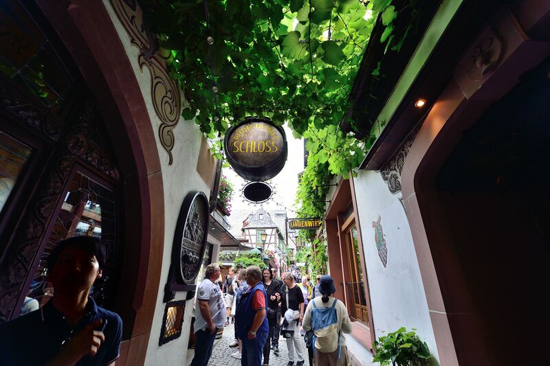 파일:230805 145728.jpg