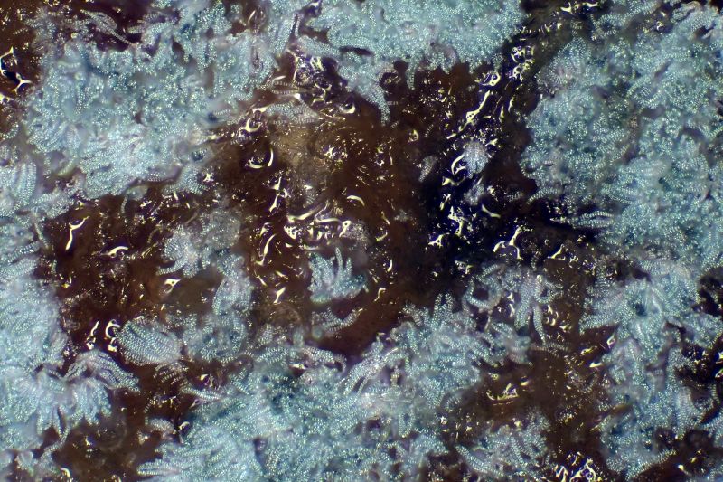 파일:bread02 011.jpg