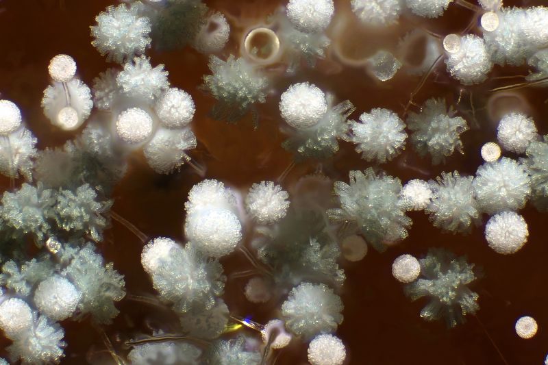 파일:bread02 017.jpg