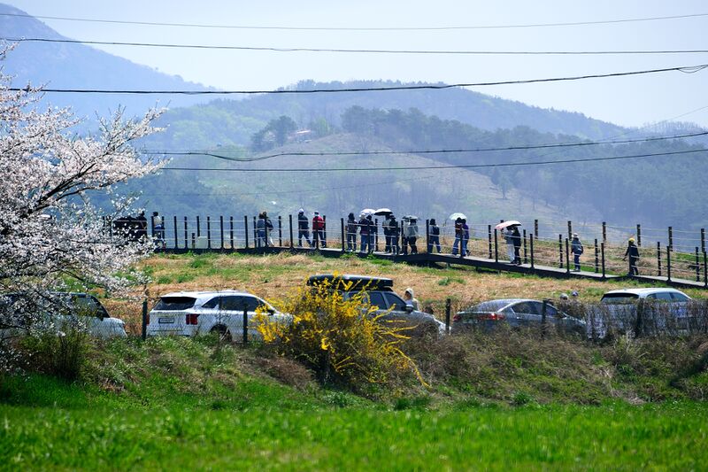 파일:donkey w01 002.jpg