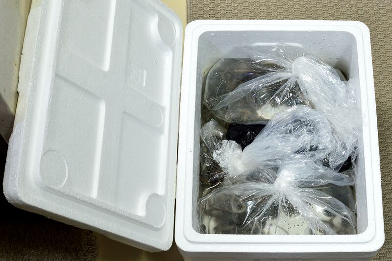 파일:meal09 02 003.jpg