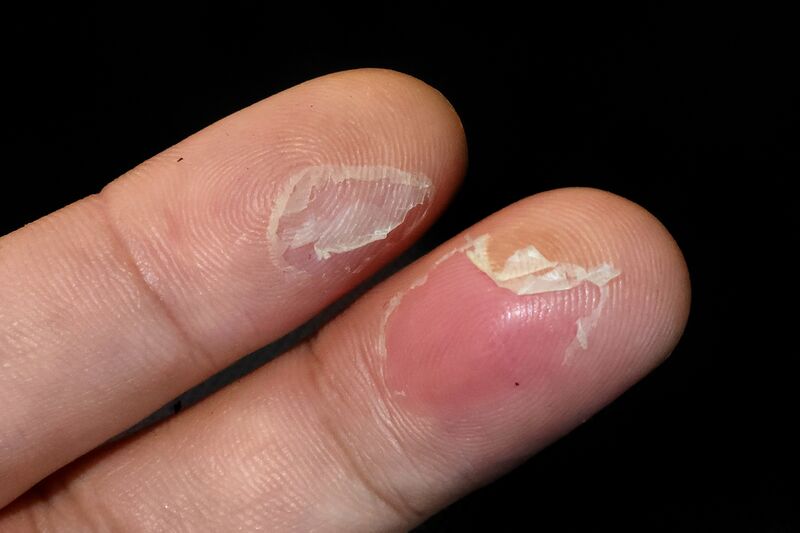 파일:body01 020 003.jpg