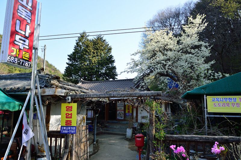 파일:meal13 06 002.jpg