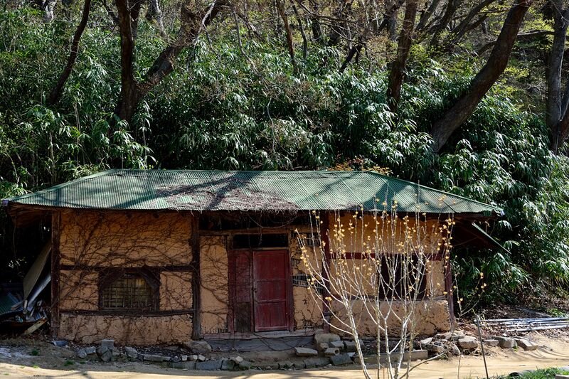 파일:gaesimsa26 011.jpg