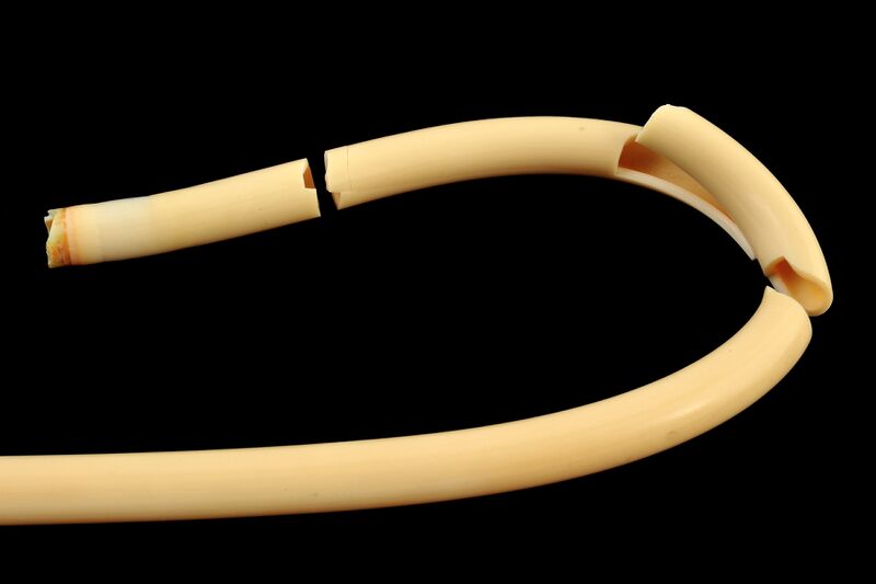 파일:shower hose02 003 001.jpg