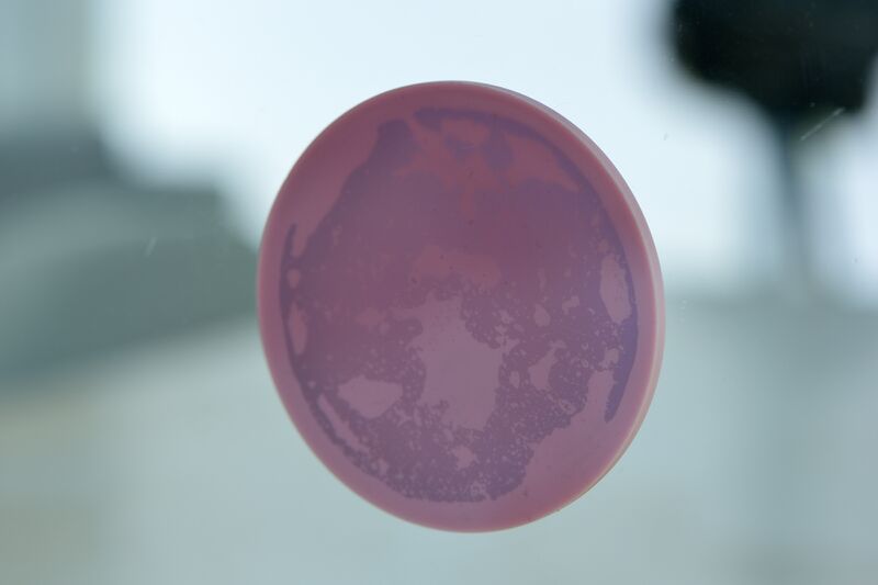 파일:cafe13 019.jpg