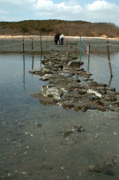 파일:muuido04 020.jpg