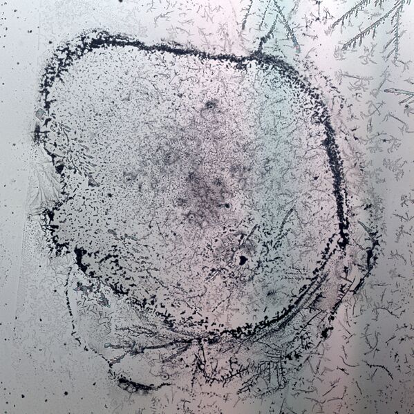 파일:water spot01 2p5.jpg