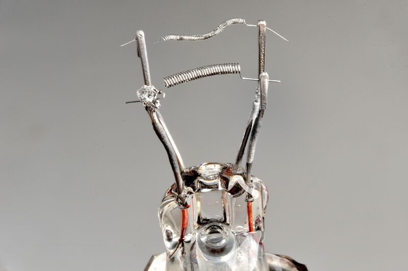 파일:incandescent05 002 000 004.jpg