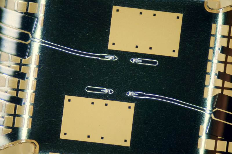 파일:pyramid microscrub01 002.jpg