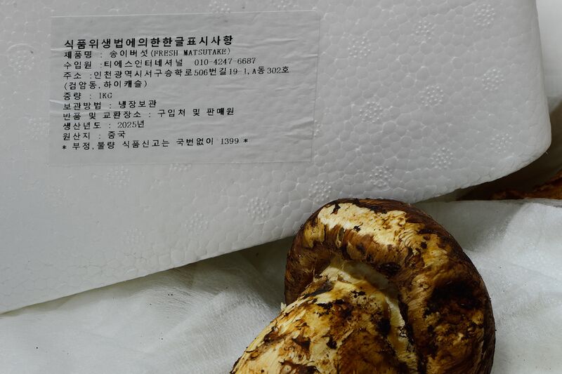 파일:mushroom02 001.jpg