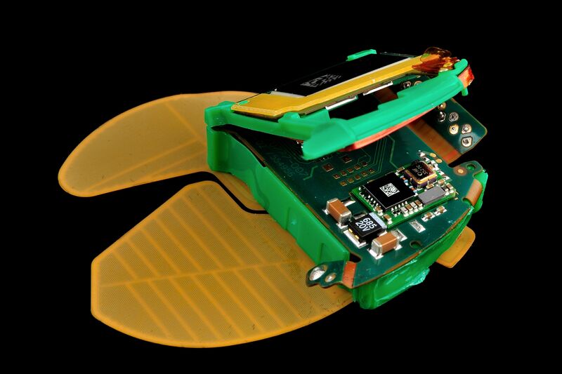 파일:pacemaker01 024.jpg