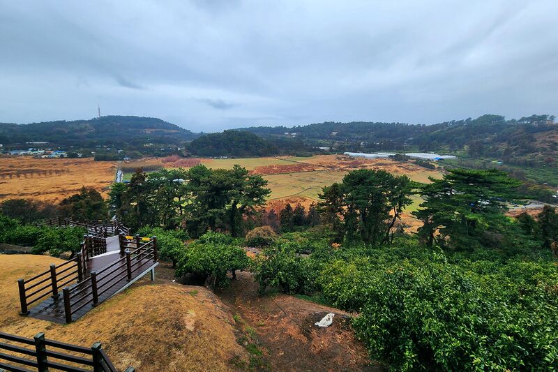 파일:260224 092508.jpg