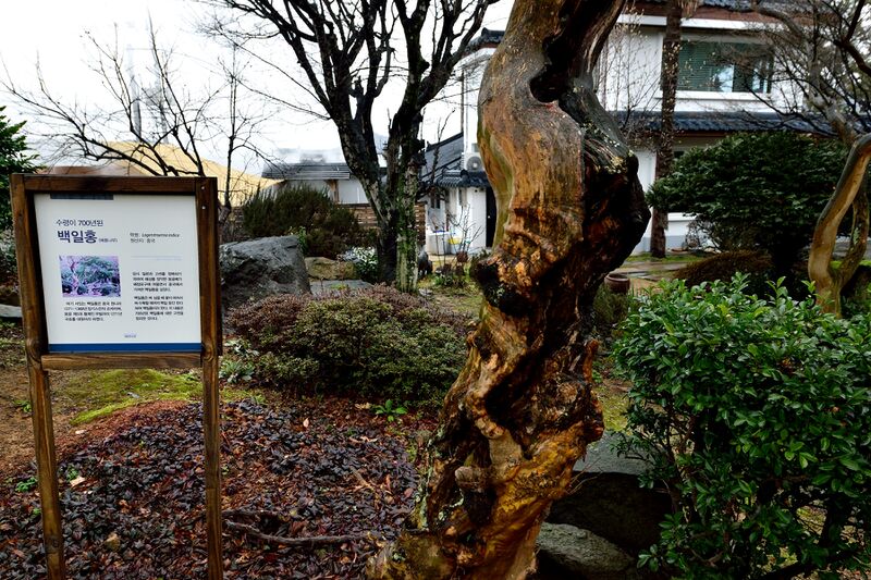 파일:haenam2024 174.jpg