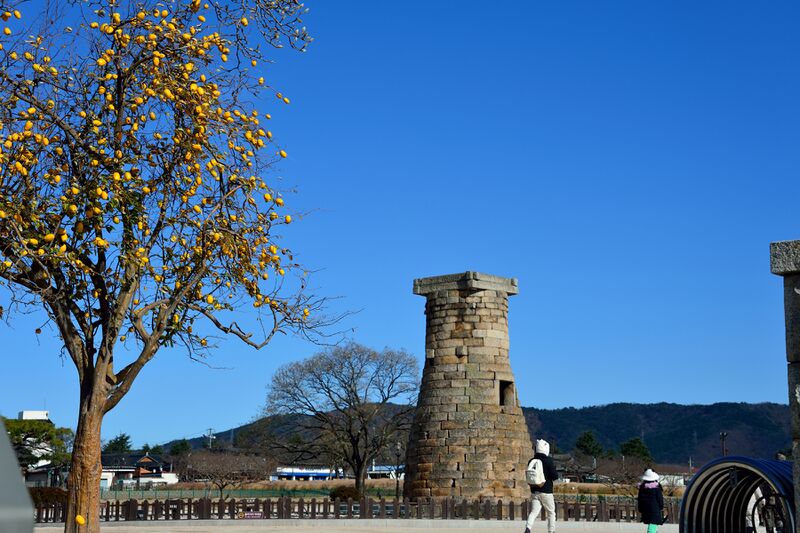 파일:221201 121216.jpg