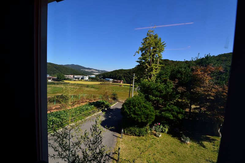 파일:cafe29 021.jpg