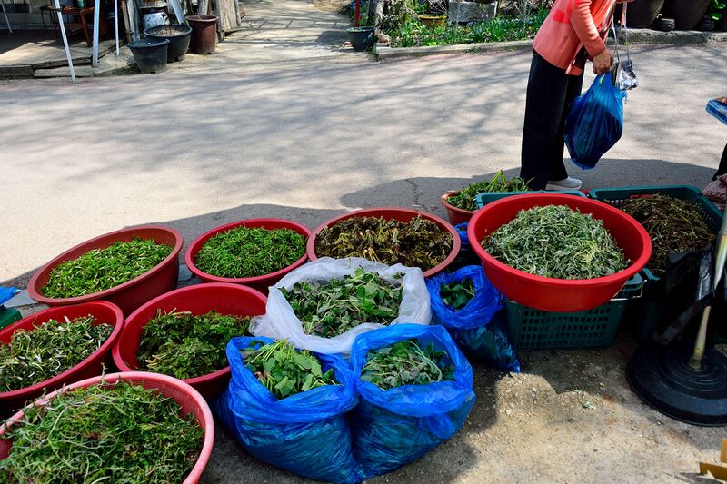 파일:home cooked26 006 001.jpg