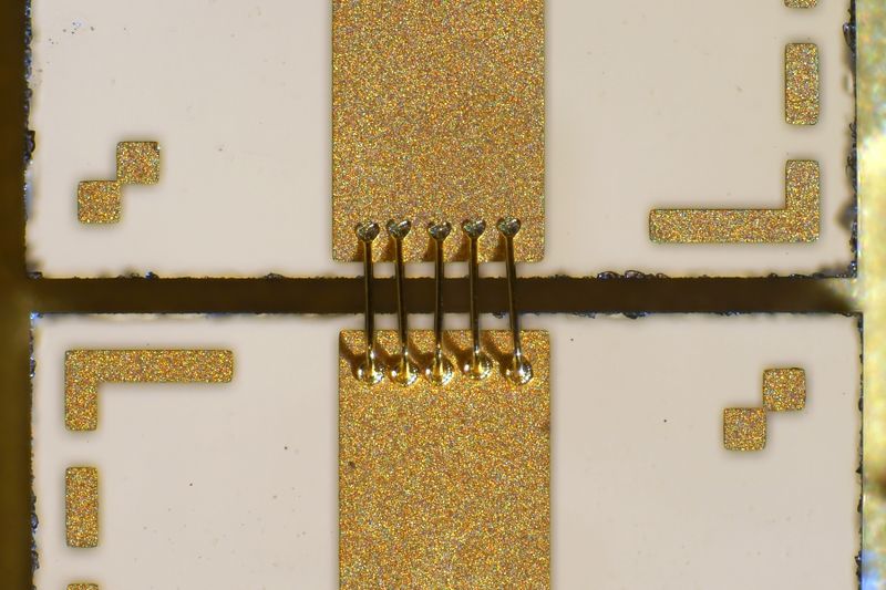 파일:n4431 032.jpg