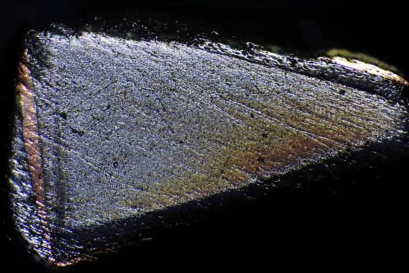 파일:mlcc02 001.jpg