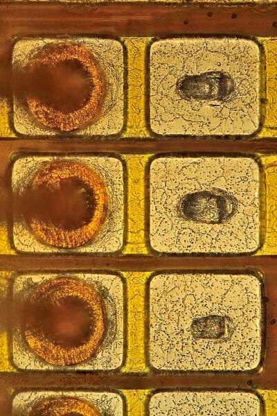 파일:flip3 01 104 003.jpg