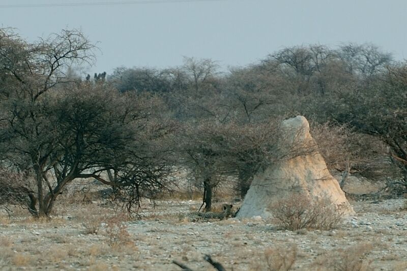 파일:240910 182406.jpg