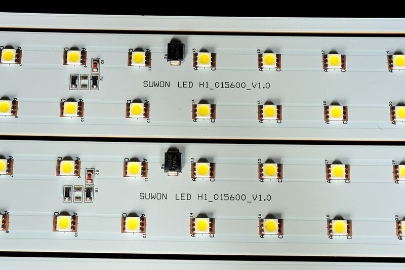 파일:blu17 003.jpg